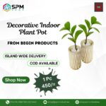 Decorative Indoor Plant Pot