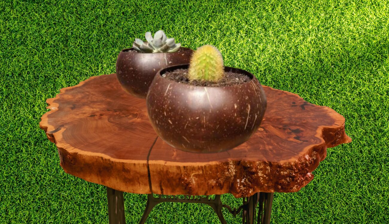 Handcrafted coconut shell flower vases showcase eco-friendly elegance, blending rustic charm with sustainable home decor.