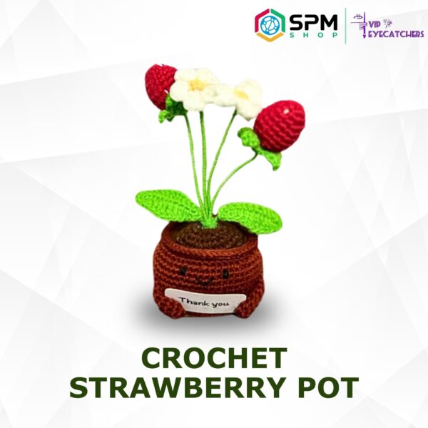 Crochet Strawberry Pot