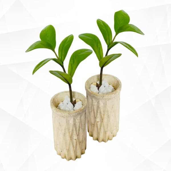 Decorative Indoor Plant Pot